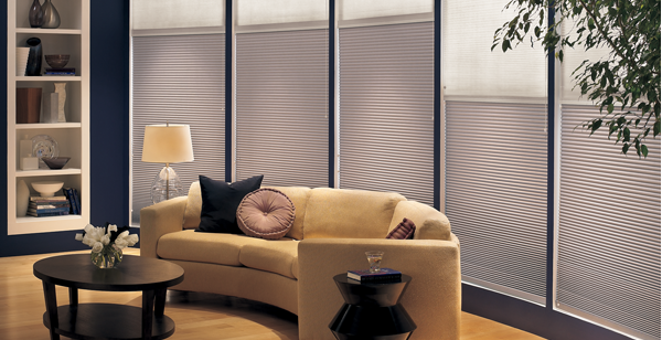 Fashionable Functional Window Blinds In New York