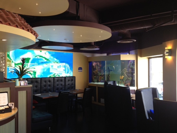Sweet Spot Restaurant Motorized Shade Install
