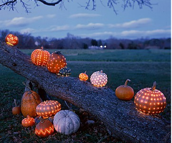 celestial-pumpkins1