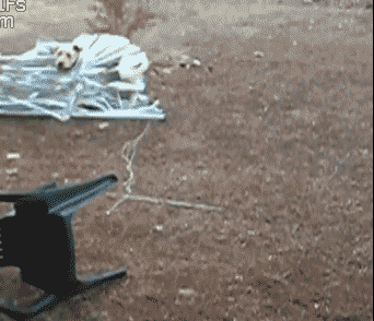 Check dangling cords