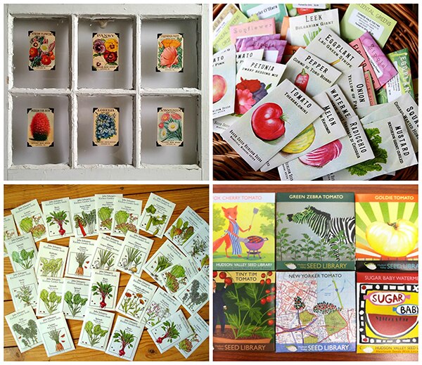 Sources: Toledo Blade, HCZ Wellness Connection, Lifescape Colorado, & Sadie Season Goods
