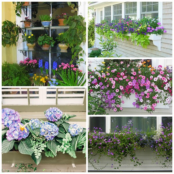 Sources: Window Box Contest, Amnesta, A Garden for the House, HGTV Home, & Houzz