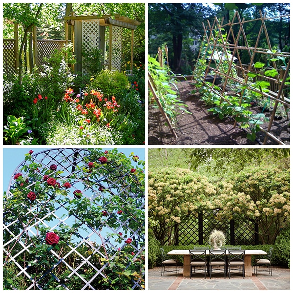 Sources: Drop Dead Cute , Classic Garden Elements, Sapa Sapa, & Sleep in the Wet Spot