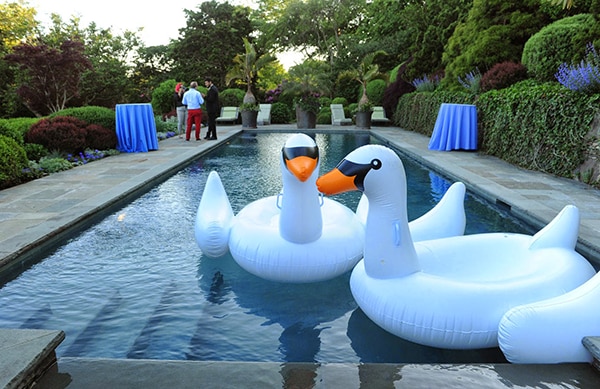 swan floatie