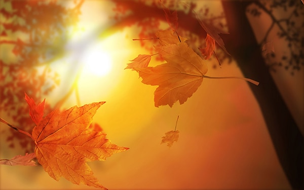 Source: Blogspot