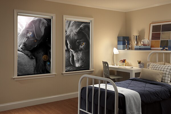 dog face custom graphic shade