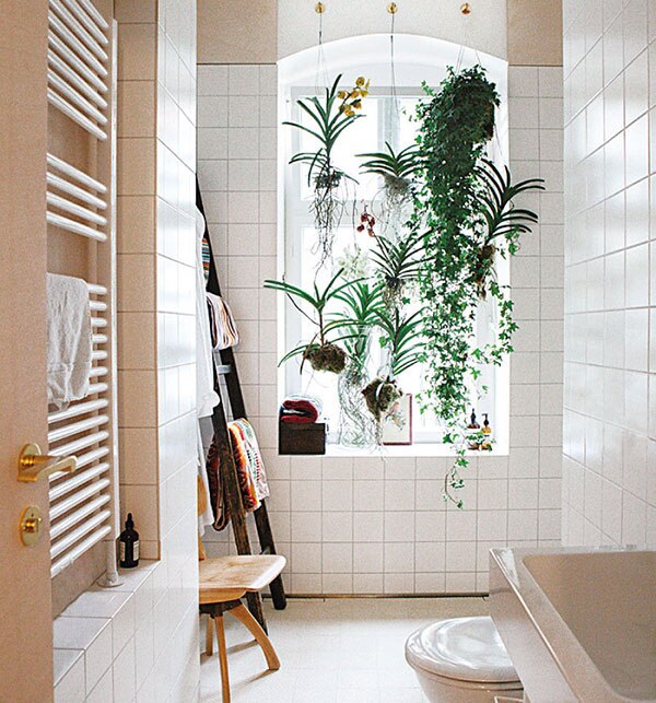 Source: Clear The Way