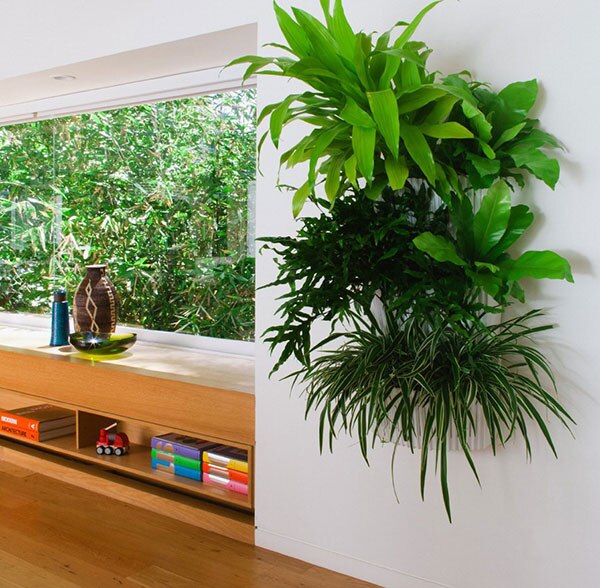 Source: Todd Lindsey