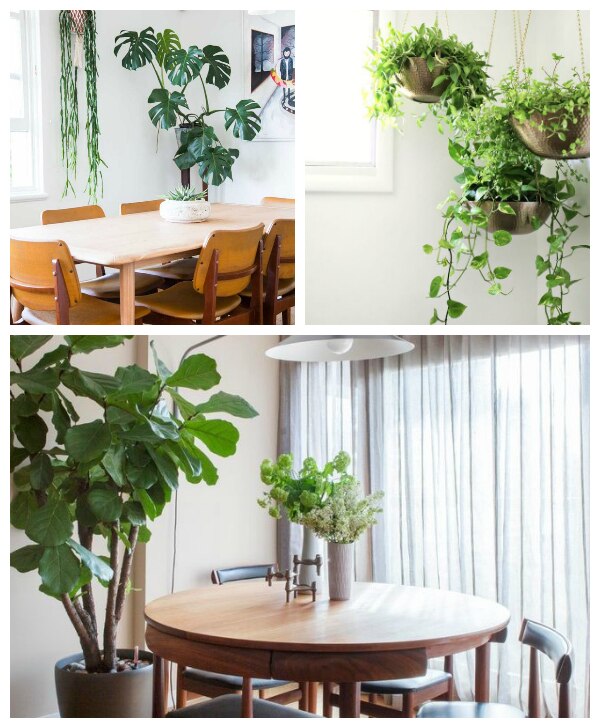 Sources: The Monument View, Design*Sponge, A Beautiful Mess