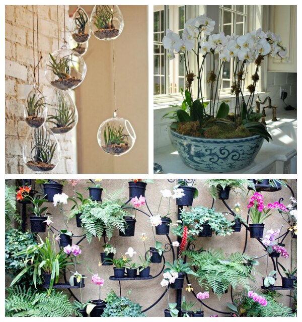 Sources: Wolves In London, Law Of Taste, The Enchanted Home