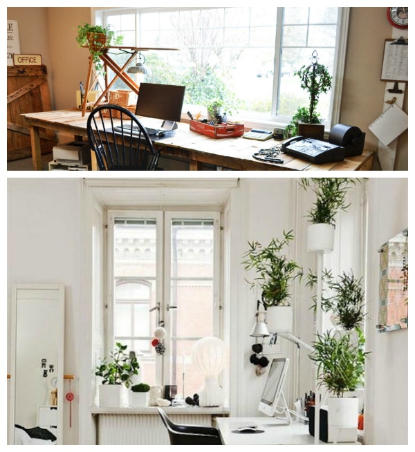 Sources: Nonback, Nifty Homestead