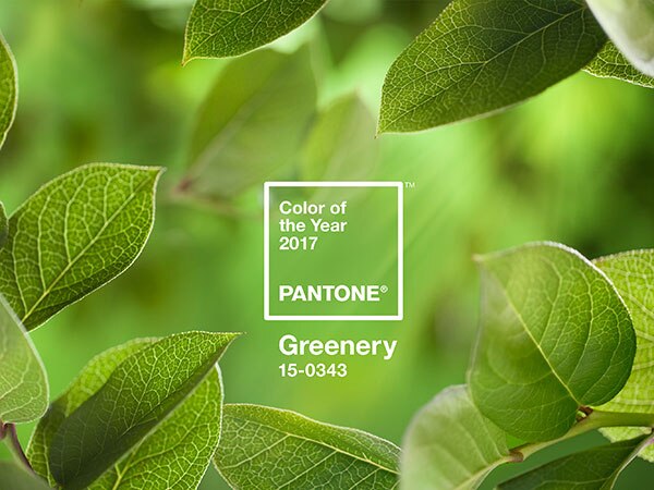 Source: Pantone