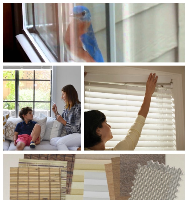 Source: Cantech Letter, Got Custom Drapes, Made Blinds