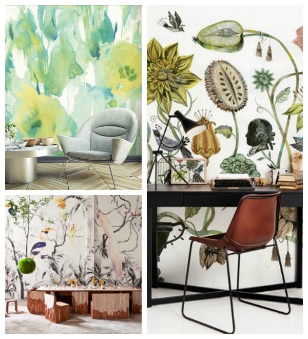 Source: Interactives, Look Animals, Shopify