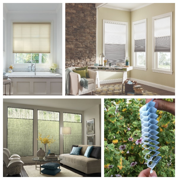 Source: Blindsgalore Cellular Shades, Dawn Watson