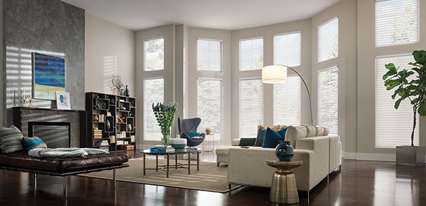 Source: Comfortex Shades