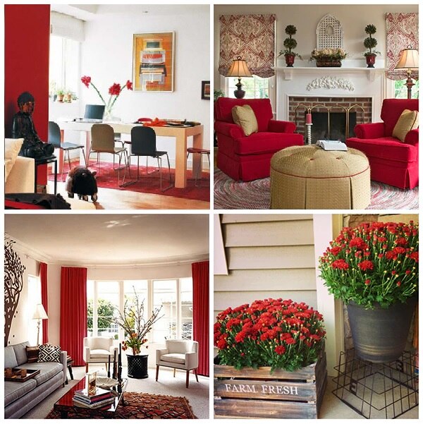 Sources: Sarva Media, Fabulous Over 50, Home Decoz, Etsy