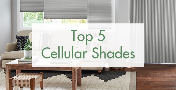 Hero image for a featured blog post on our Top 5 Cellular Shades