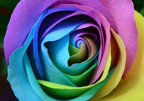 Color-Quiz-End