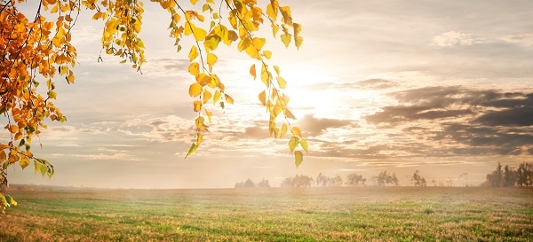 dreaming of a bright future Givaga Adobe Stock