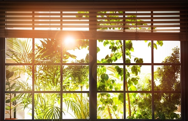 Sun shining through window behind perfectly-sized blinds in morning light