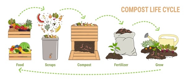Compost life circle infographic illustrating the composting process to show a zero waste concept.