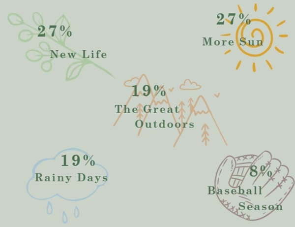 our team voted on their favorite parts of spring and these were the results