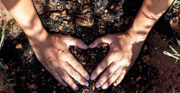a man making a heart sign with his hands over a rich mound of fertile soil teeming with young green sprouts