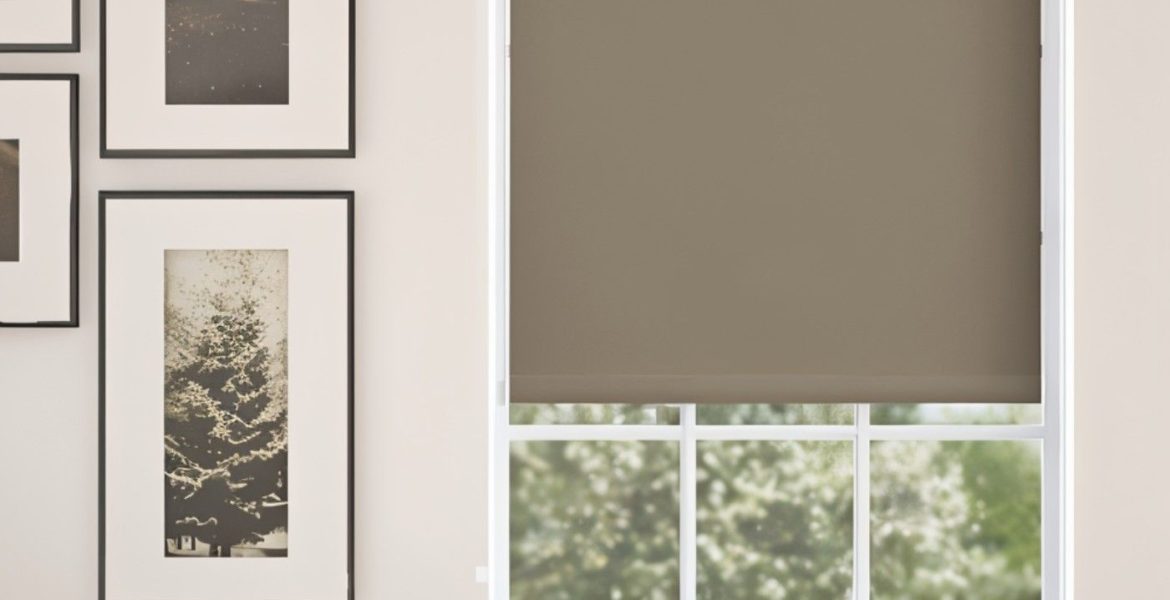 Fabric Roller Shades vs. Vinyl