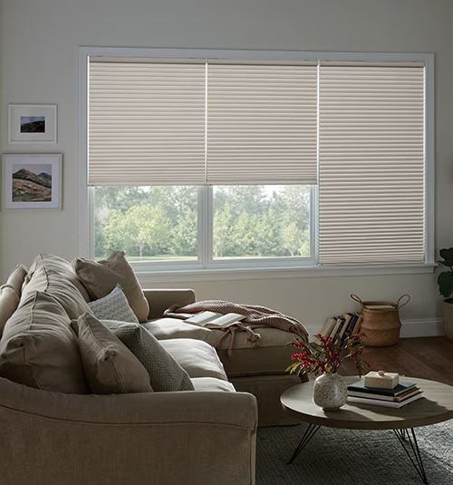Bali Blackout Cellular Shades