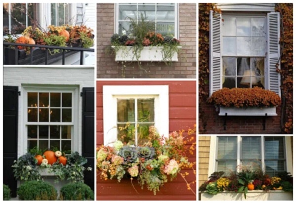 Decorative fall window boxes