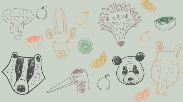 An assortment of hand-drawn zoo animals and citrus fruits An assortment of hand-drawn zoo animals and citrus fruits