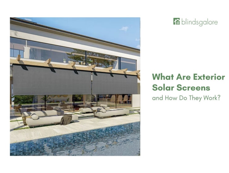 What Are Exterior Solar Screens and How Do They Work