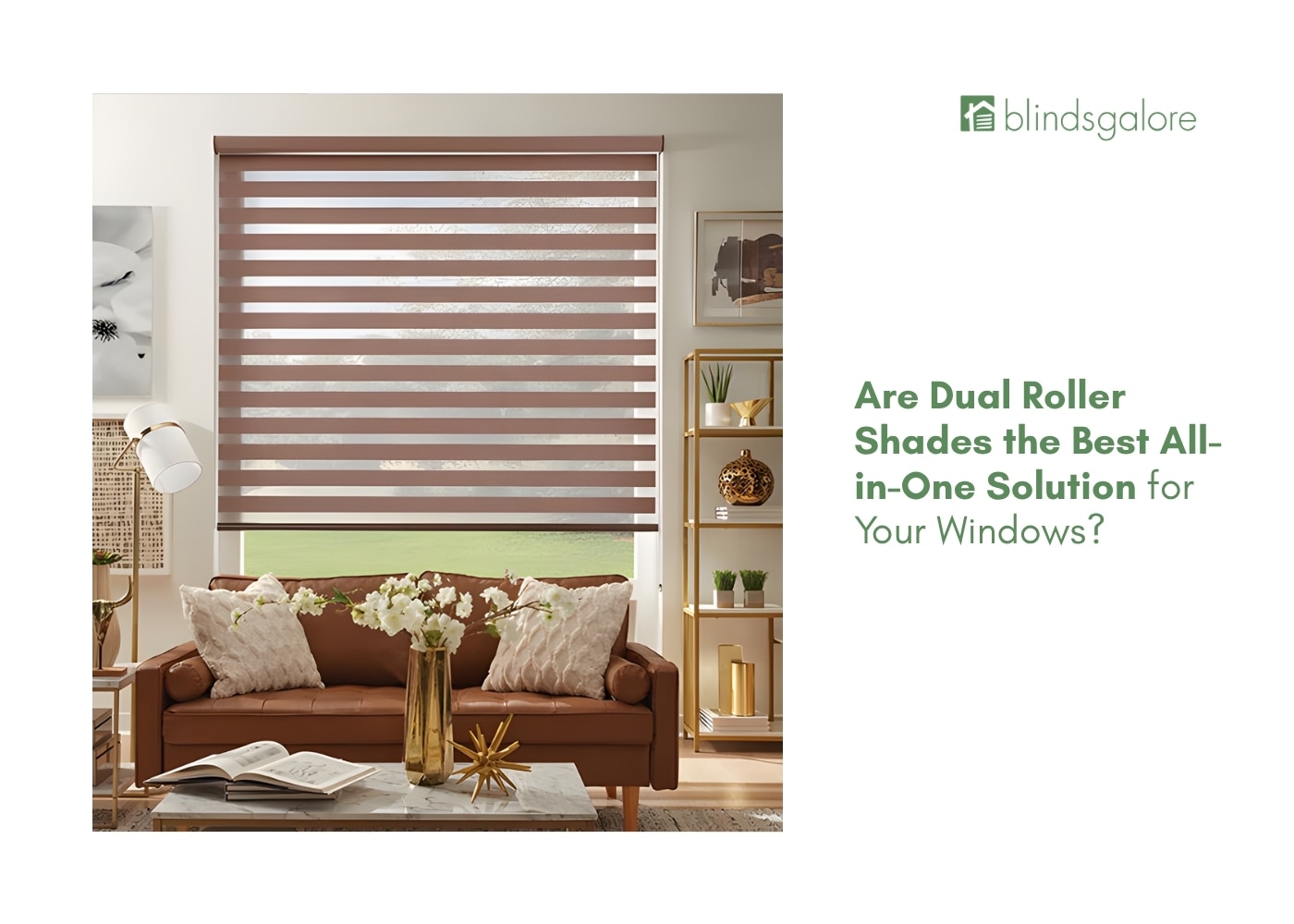 Dual Roller Shades for Day and Night