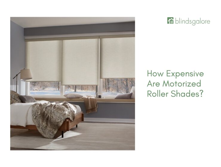 How Expensive Are Motorized Roller Shades