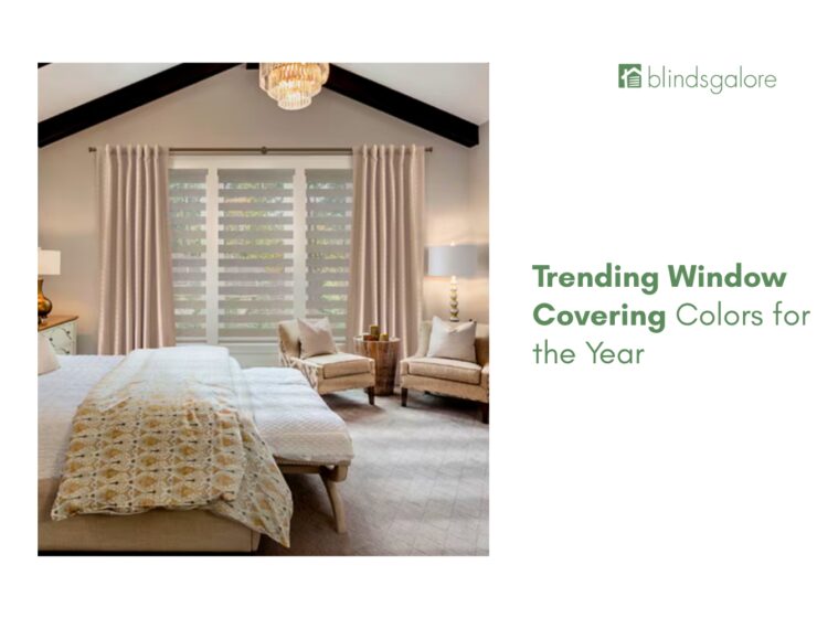Trending Window Covering Colors for the Year