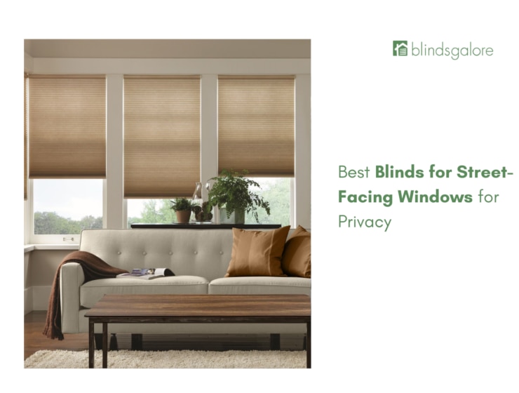 Best Blinds for Street-Facing Windows for Privacy