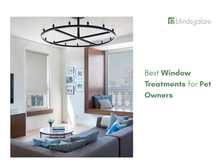 Best Window Treatments for Pet Owners
