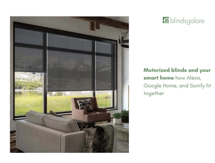 Motorized blinds and your smart home: how Alexa, Google Home, and Somfy fit together