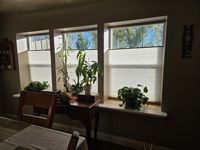 Blinds