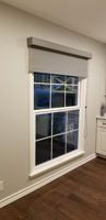 Great Shade for Our Window