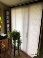 Patio blinds