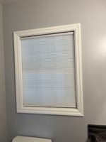 Blindsgalore Cordless Cellular Shades