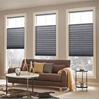 Pleated Shades